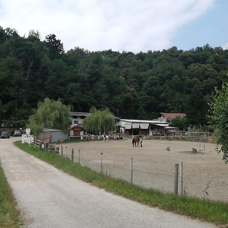 Locazione Turistica Varaita-Brossasco エクステリア 写真